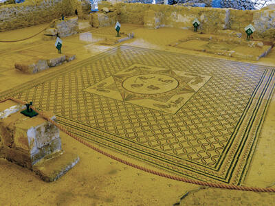 Ancient mosaic floor with birds and geometric designs, surrounded by stone ruins and ropes marking the area.