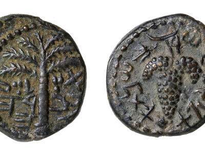 Ancient bronze coin with a palm tree on one side and grape clusters on the other; both sides feature Paleo-Hebrew script and decorative dotted borders.