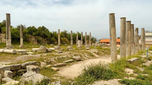 Ruins of an ancient structure with several tall stone columns surrounded by grassy ground and scattered stone blocks, with trees and a building in the background.