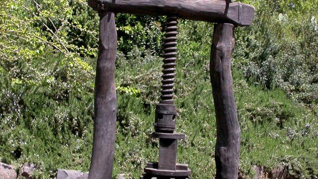 Old wooden olive press with a large vertical screw, set outdoors on a stone base surrounded by trees and greenery.