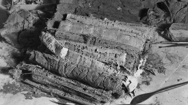 A close-up black-and-white photo of fragile, frayed rolls of papyrus. Restoration tools and a tray with small fragments lie nearby on a work surface.