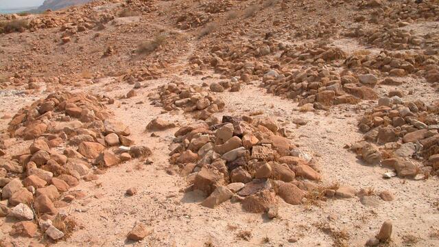 Scattered piles and circles of stones arranged on a dry, rocky desert landscape with distant mountains and sparse vegetation under a hazy sky.