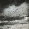 Photograph of sky filled with flying insects.