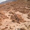 Scattered piles and circles of stones arranged on a dry, rocky desert landscape with distant mountains and sparse vegetation under a hazy sky.