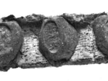 Papyrus, Rolled and Sealed Strip of papyrus with circular seals.