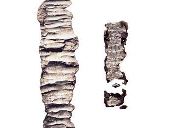 Two rolled-up scrolls. 