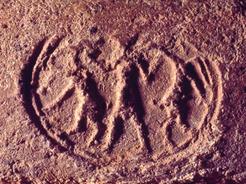 Seal impression with figure holding two ibex-like animals.
