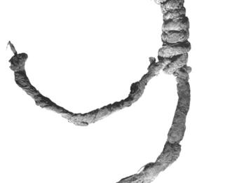 Photograph of knotted linen fringe.