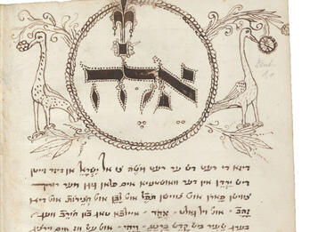 Manuscript page of drawings of bird and plants on top and Yiddish text below. 