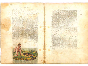 Moses Narboni’s Commentary on Ibn Tufayl’s Ḥay ibn Yaqzan Facing-page manuscript with Hebrew text and an illustration of a naked boy sitting next to a deer on bottom margin of left-hand page.