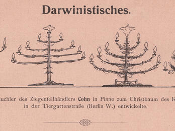 Darwinian Four images of trees resembling candelabra and then a fir tree, with German text above and below.