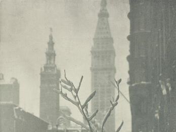 Photograph of branch in foreground through which a cityscape is visible in background.