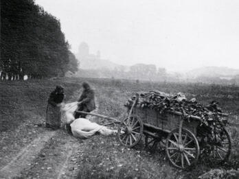 Photograph of two figures in a field assisting a fallen horse harnessed to a cart.