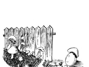 The Egg That Disguised Itself Line drawing of a fence and several mushrooms in the grass in front of it, with smiling egg wearing a mushroom cap on right side of fence.