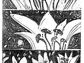 Five drawings of flowers arranged in horizontal panels. 