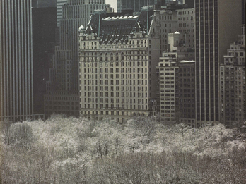 Plaza in the Snow Photograph of snowy plaza surrounded by trees with skyscrapers in the background.