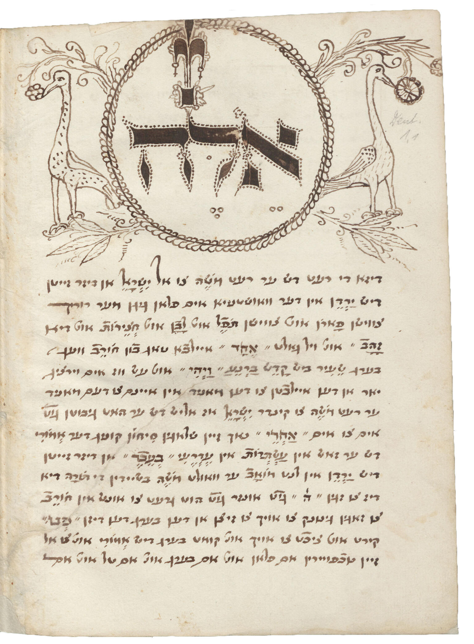 Manuscript page of drawings of bird and plants on top and Yiddish text below.