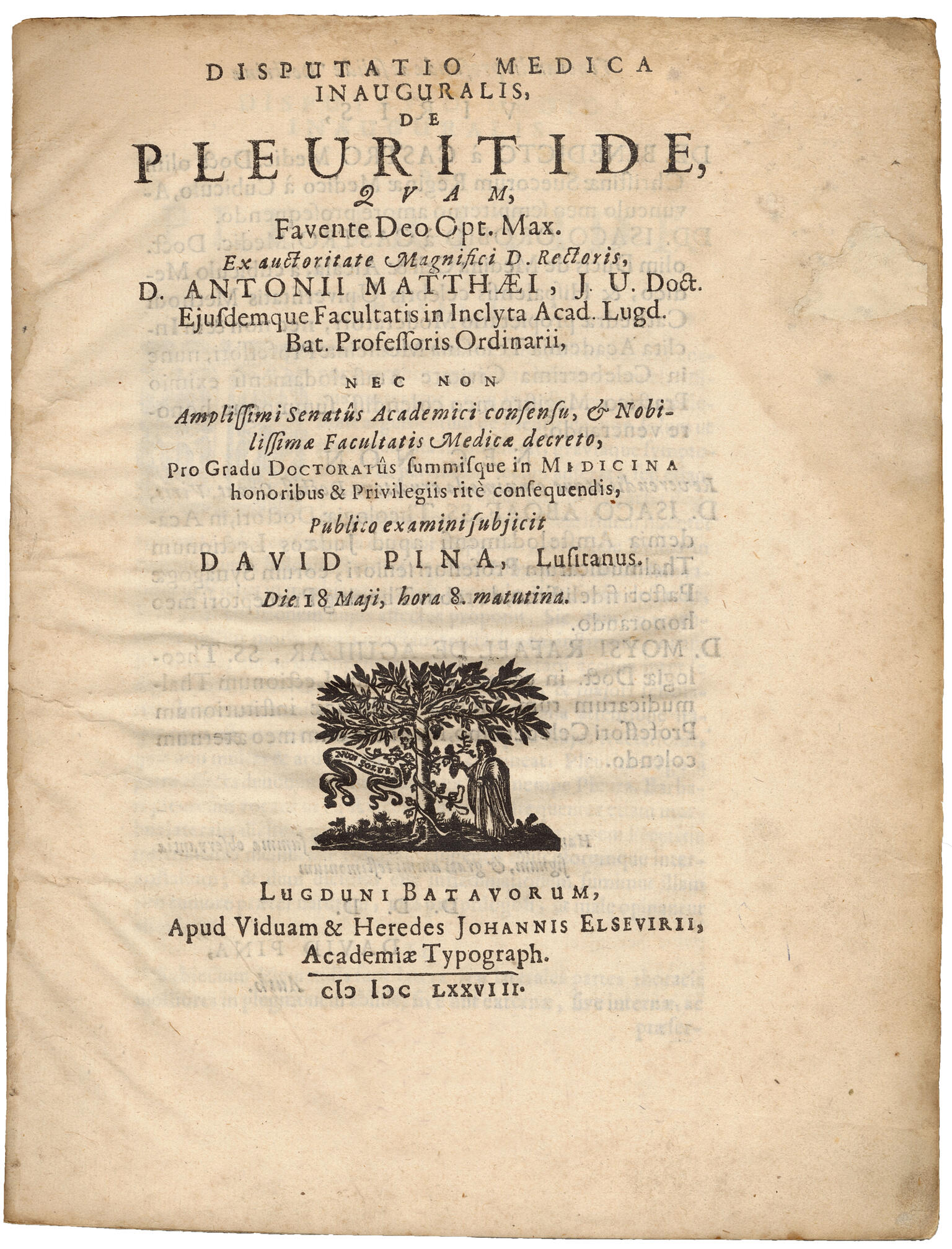 Manuscript page with Latin text and small illustration of man standing beneath a tree.