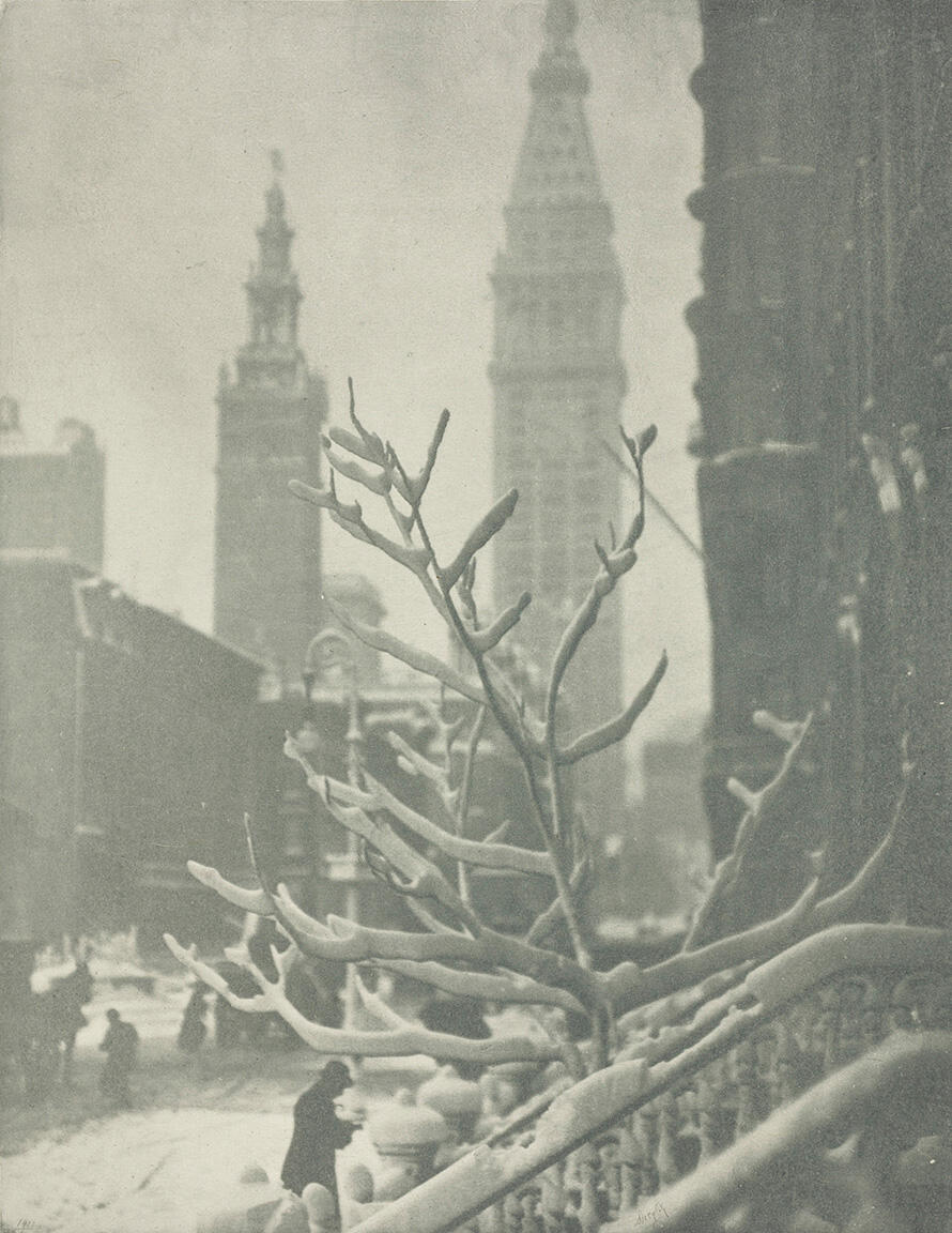 Photograph of branch in foreground through which a cityscape is visible in background. Photograph of branch in foreground through which a cityscape is visible in background.