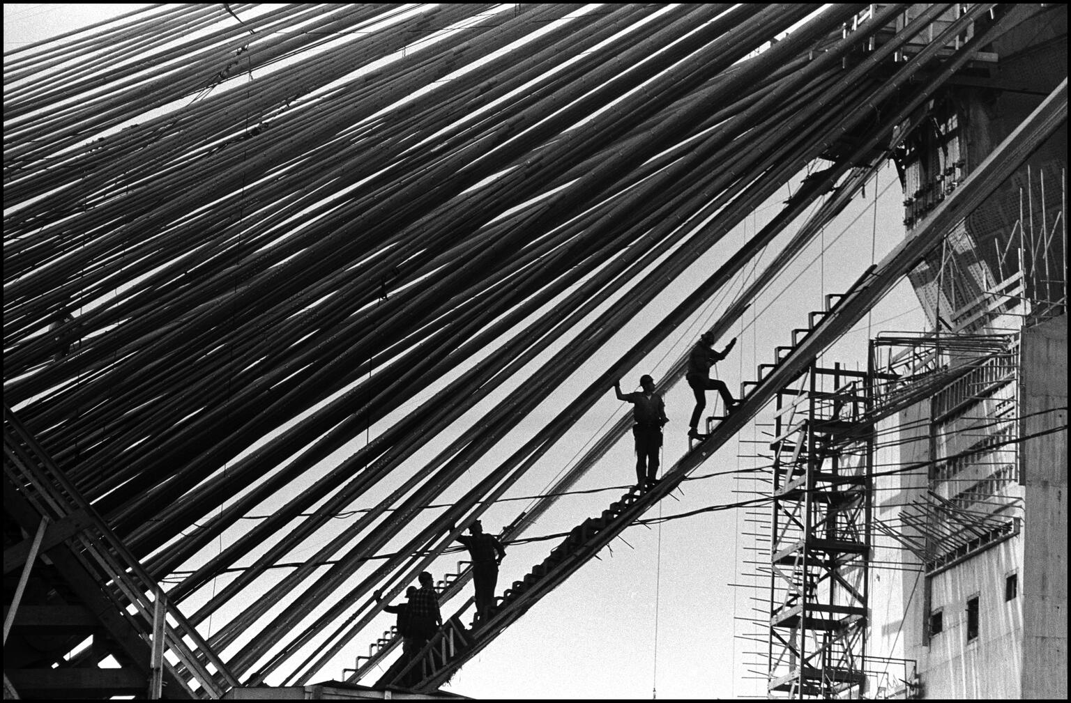 Photograph of men silhouetted on a steep ladder that bisects the photograph on a diagonal, below cables that run across the photograph, and tall building in background. Photograph of men silhouetted on a steep ladder that bisects the photograph on a diagonal, below cables that run across the photograph, and tall building in background.