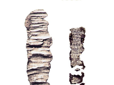 Two rolled-up scrolls. 