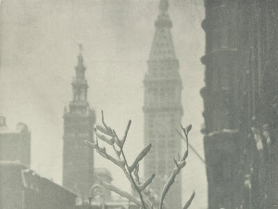 Photograph of branch in foreground through which a cityscape is visible in background.