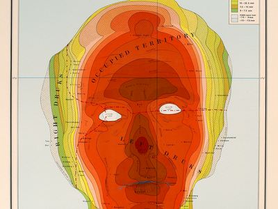 Heat map in the shape of a human face. 